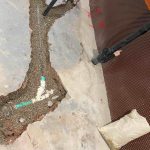 New Underground Washroom Rough in Hamilton