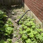 inside waterproofing sum pump toronto plumbers 3