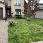 Palmer Dr, Burlington, L7M 1Y9 - Trenchless Water Service Installation and Upgrade